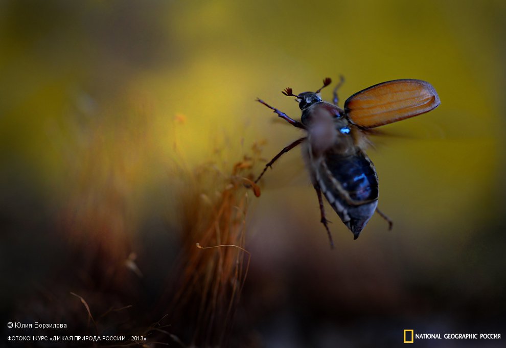 Полет в сказку