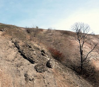 Курочкинский овраг в мае.