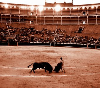 Corrida de toros (Catalonia)