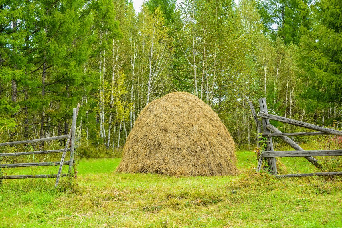 Сено свердловская область. Скирда омёт копна. Сенная копна. Стог сена.