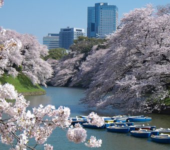 Японская весна