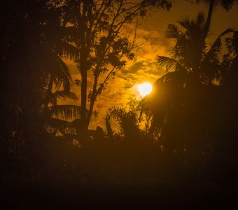 Full Moon - Vesak Day - Sri Lanka - Galle