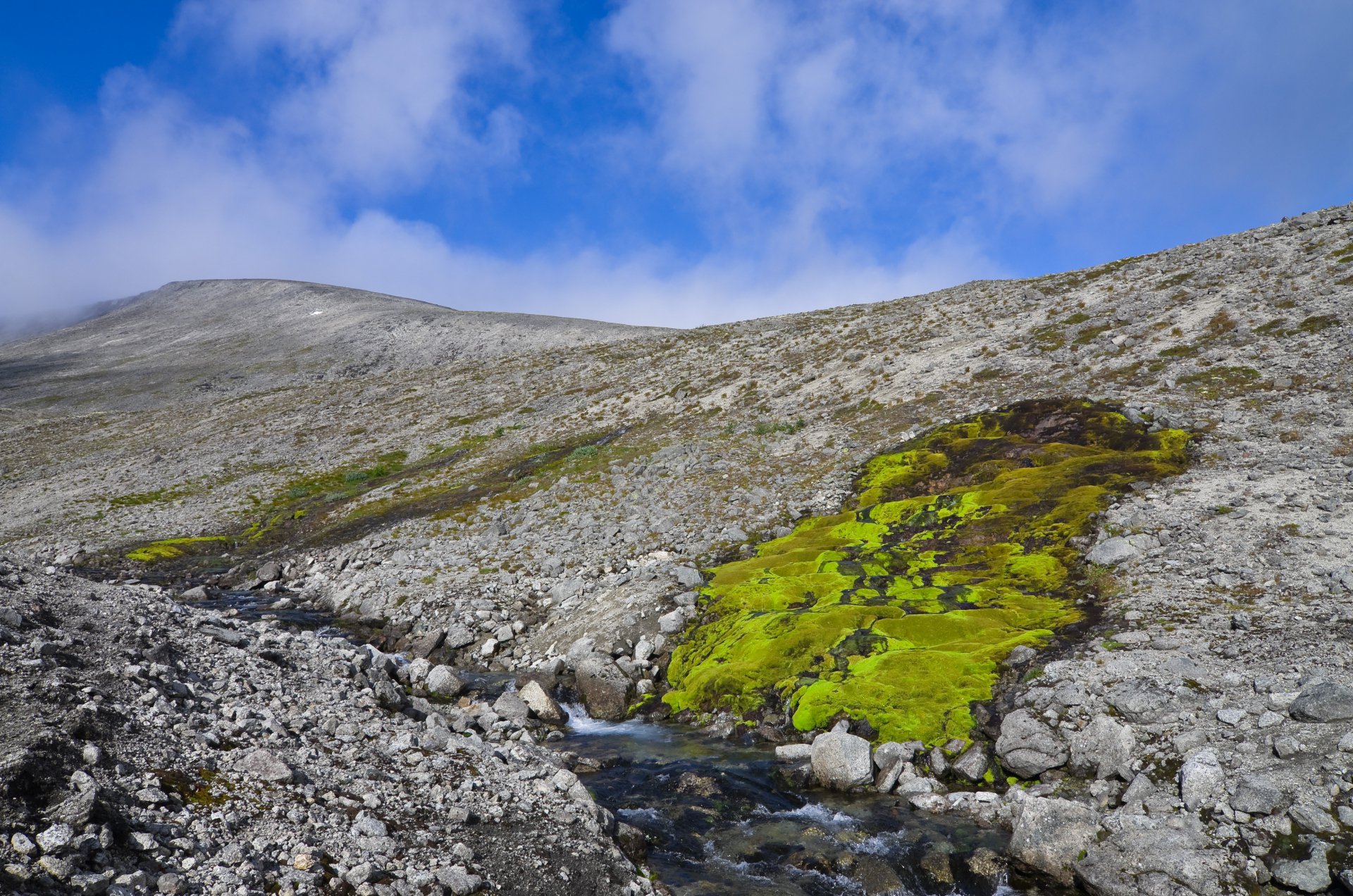 РОДНИКИ ХИБИН