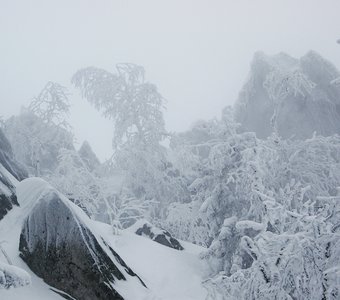 Затерянный в снегах