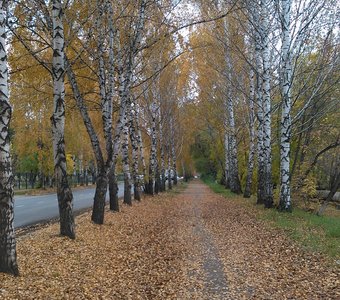 Осень в Сибири