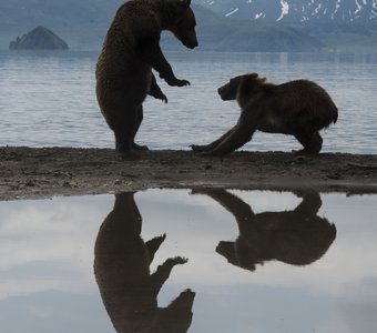 Поиграй со мной