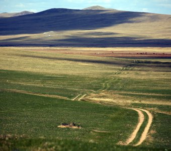 Даурский заповедник