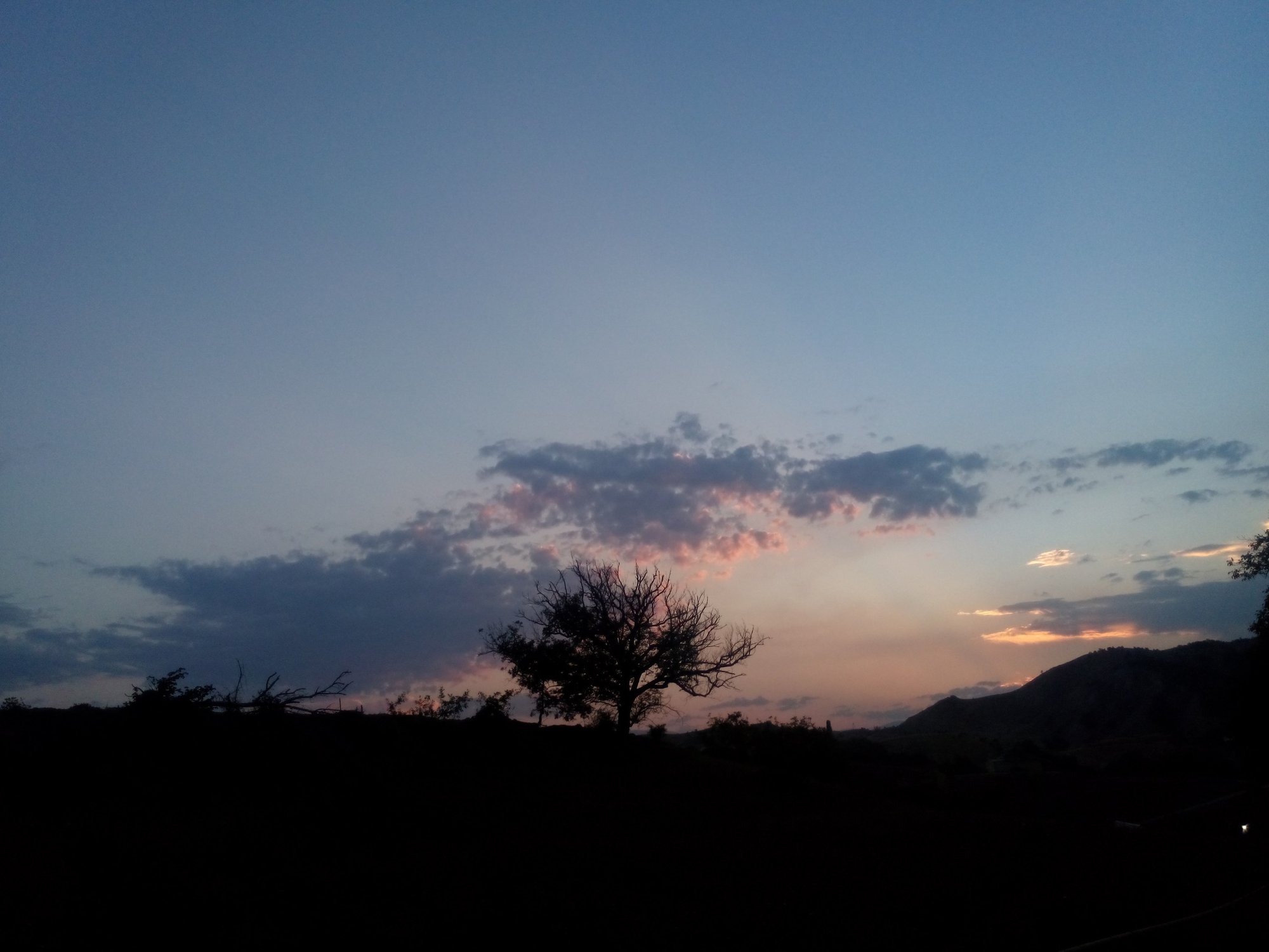 Портал в завтра