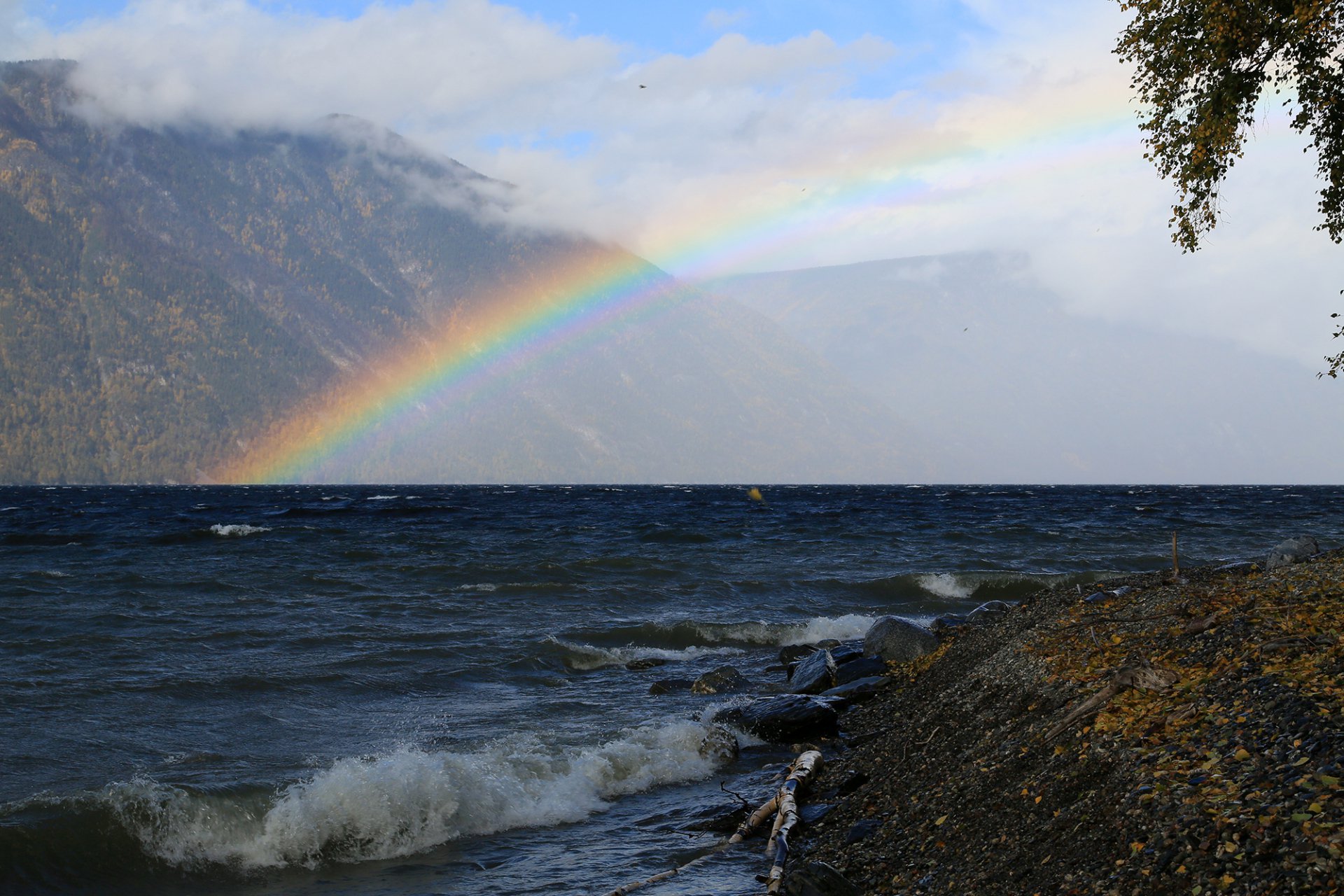 Осенняя низовка