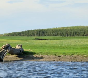 Вдоль берега