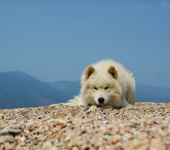 Взгляд на Байкал