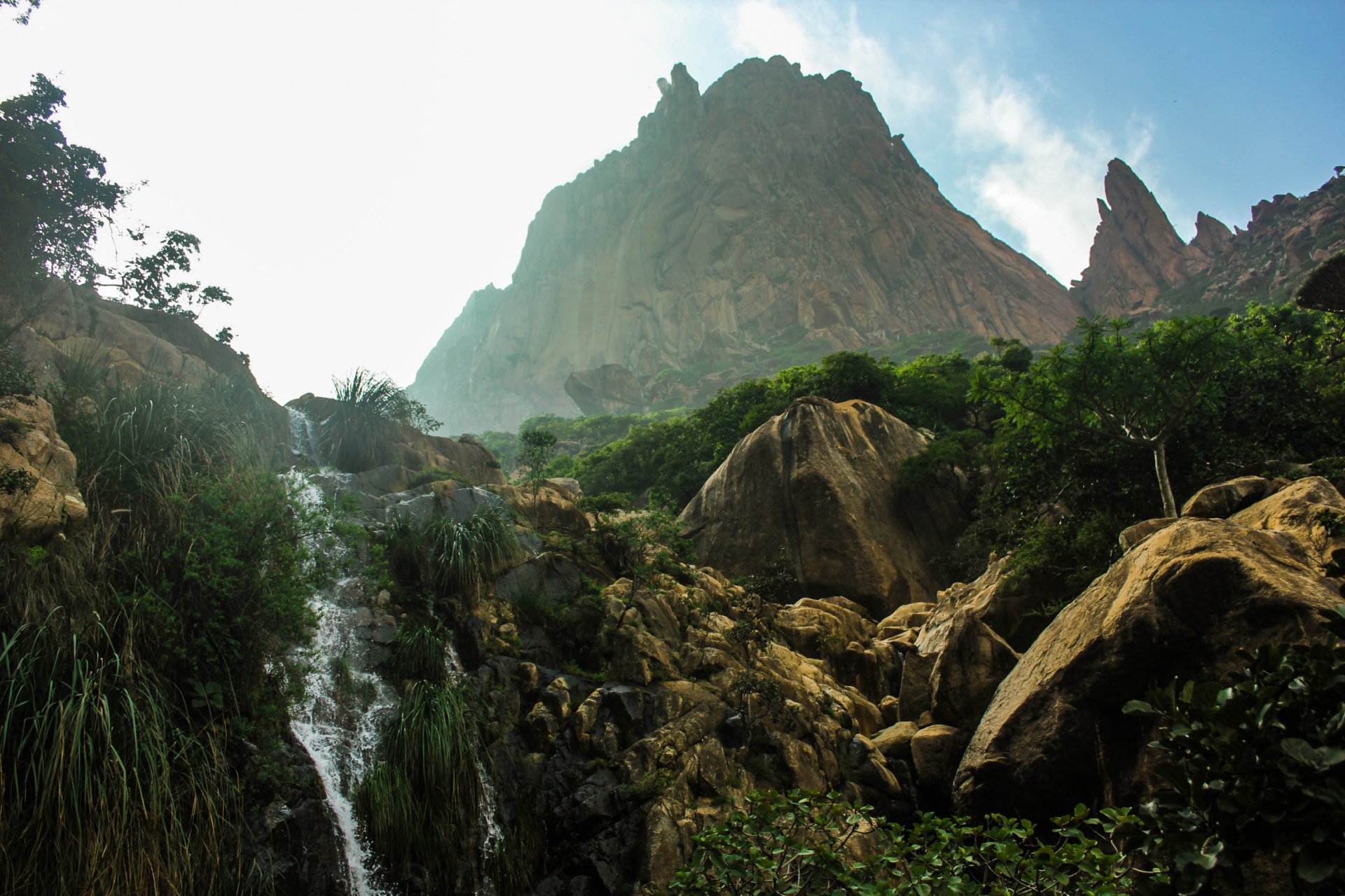 Остров сокровищ (Йемен)