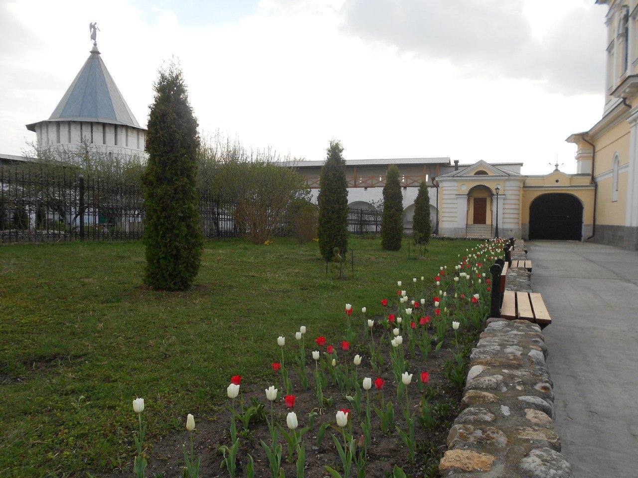 Тюльпаны в Высоцком монастыре