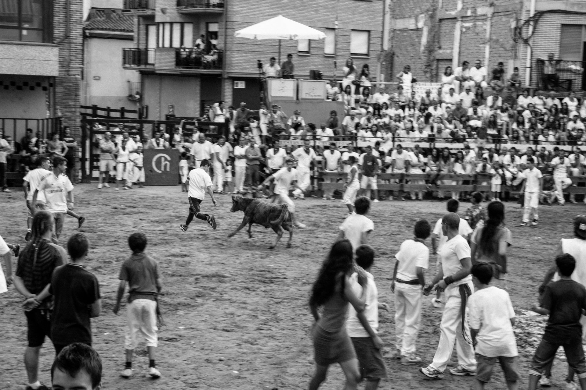 Игры с бычками