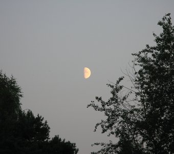 Лунное затмение или мираж?