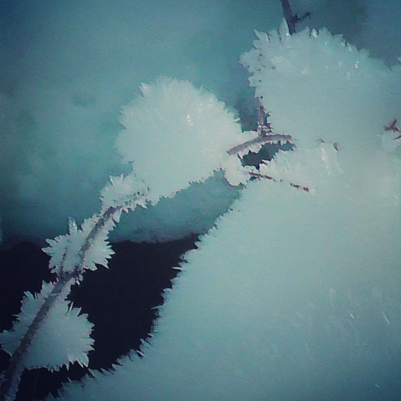 Кристальный снег на Байкале.