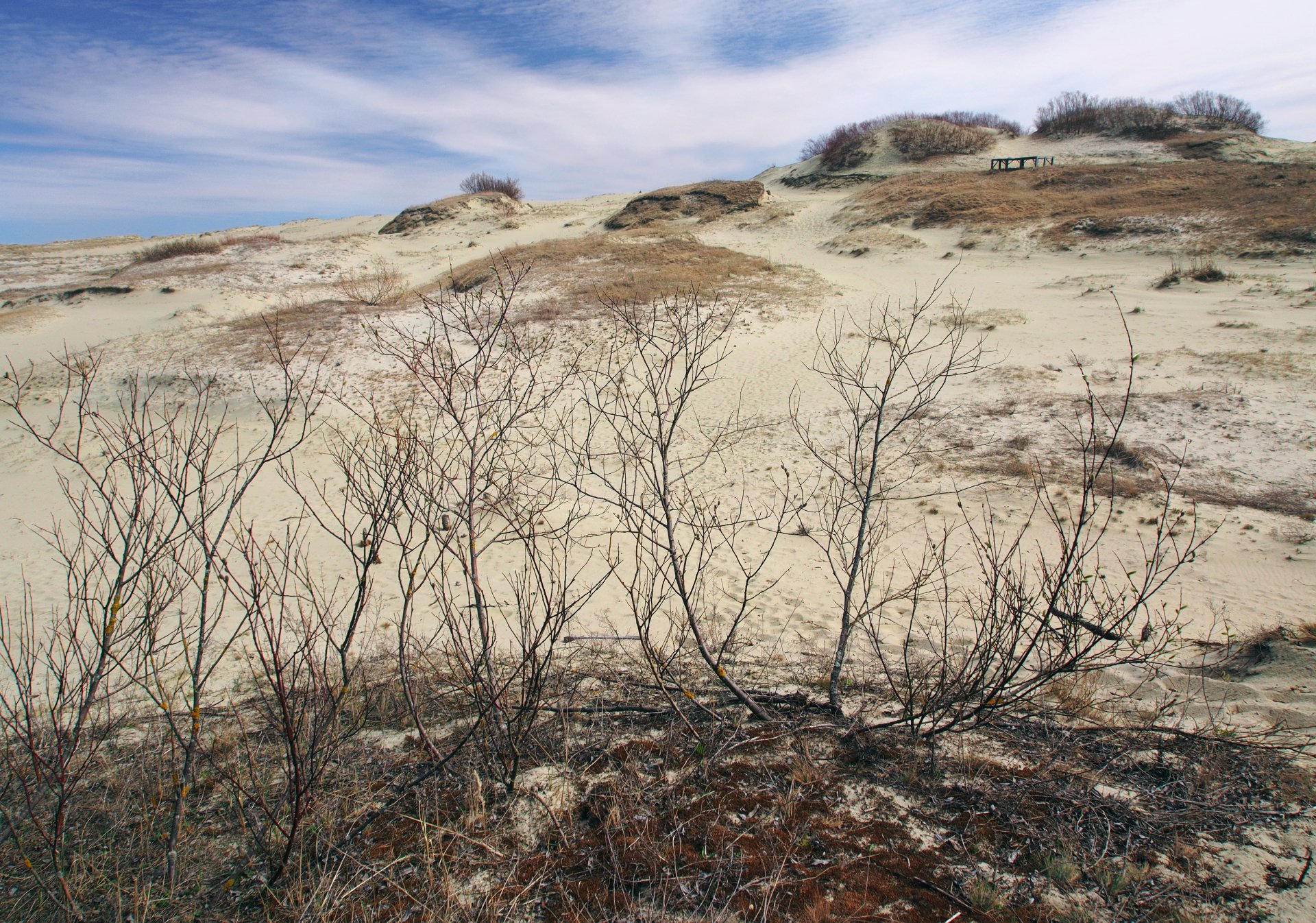 Дюны Куршской косы