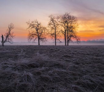 Краски солнца