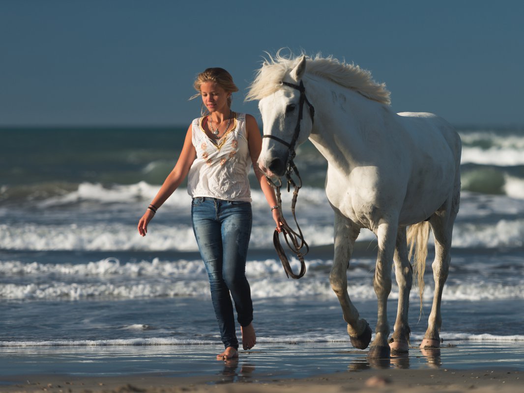 Девушка конь море