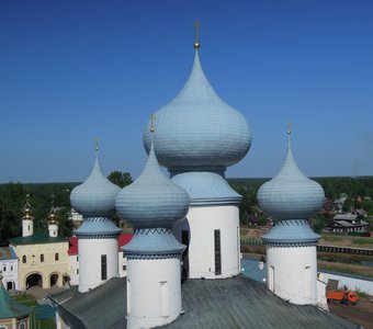 Луковицы