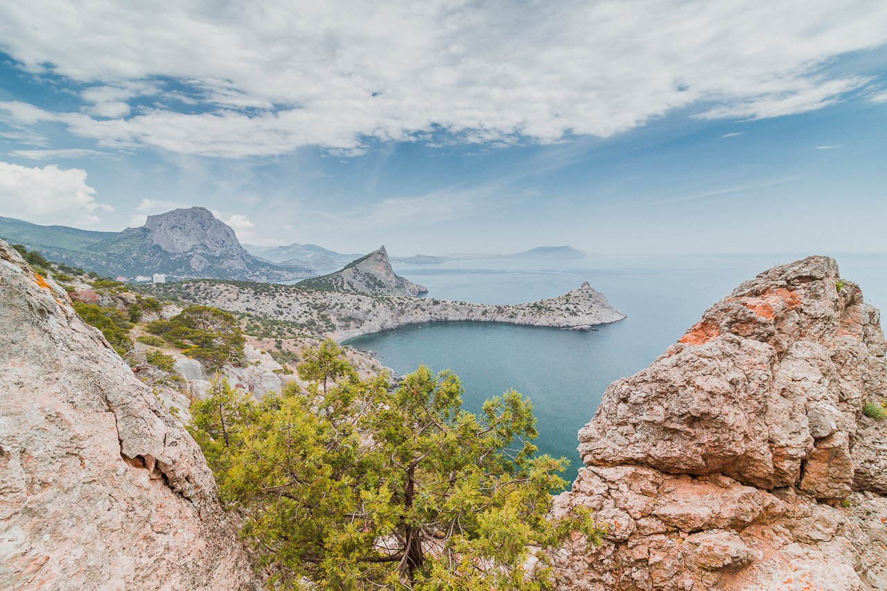 Алушта новый свет. Новый свет Крым можжевеловая роща. Восточный Крым. Крым туристический. Пик космос Крым новый свет.