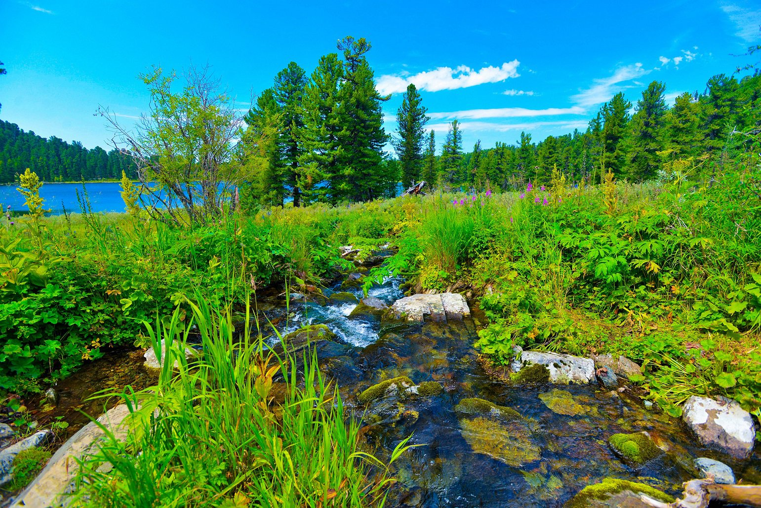 У Каракольских озер.