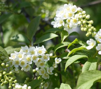 Весна в городе