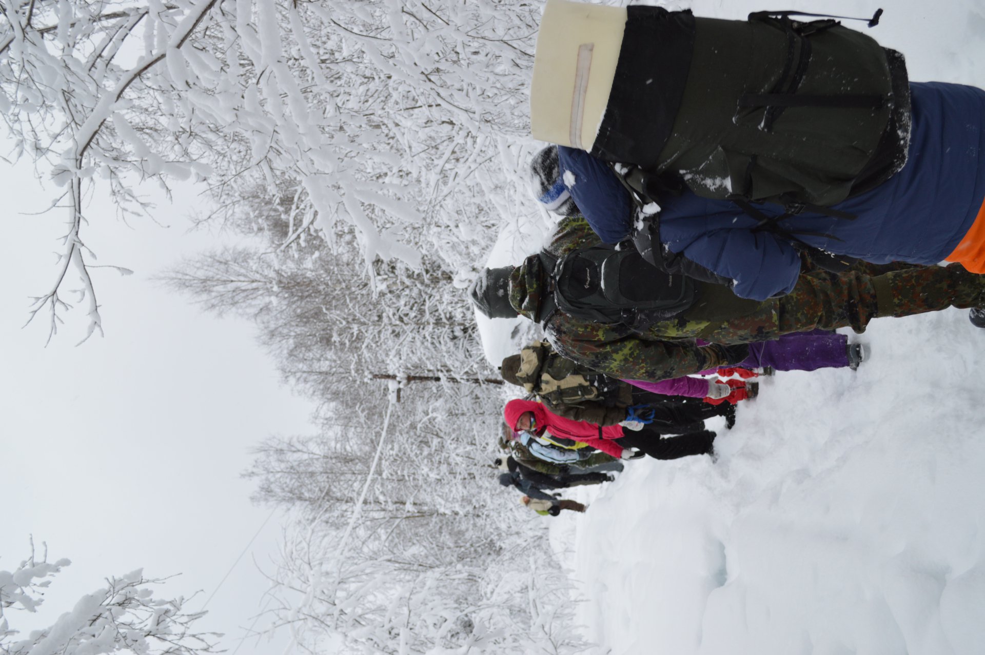 Вместе весело шагать...