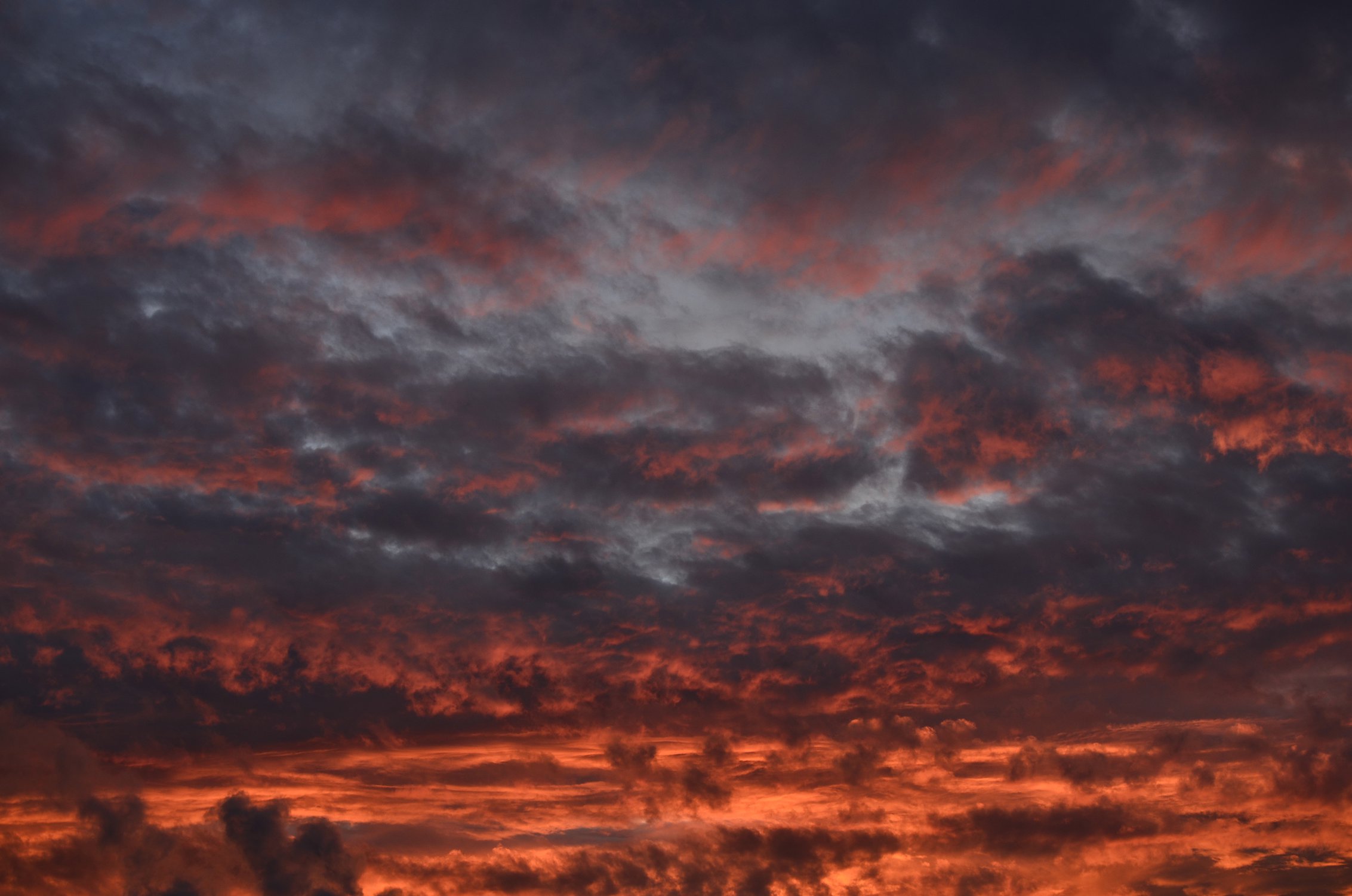Закатное небо — Фото №119815
