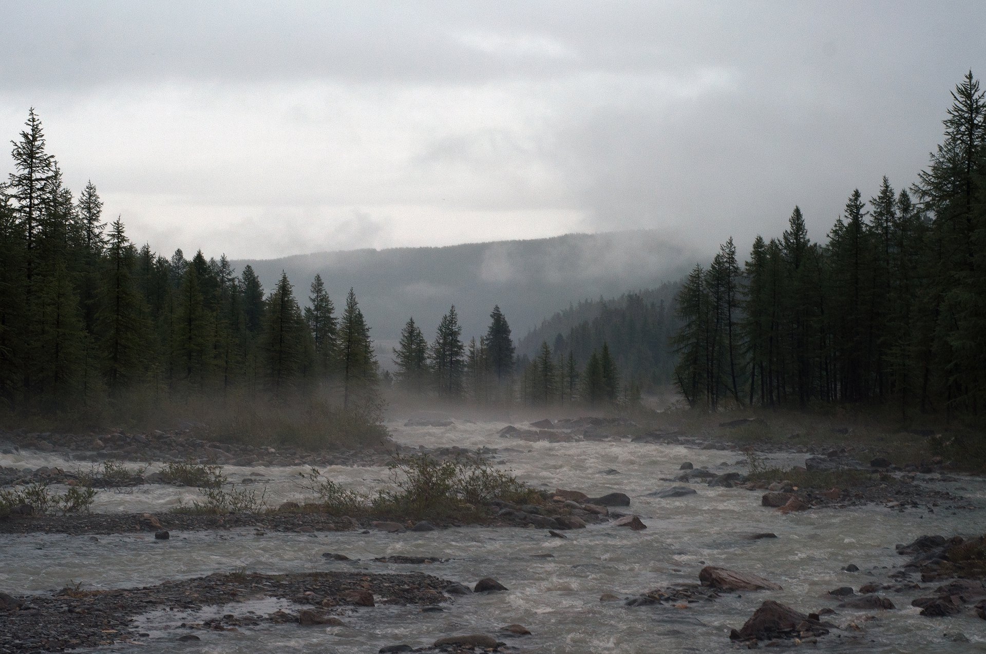 Напряжённое спокойствие