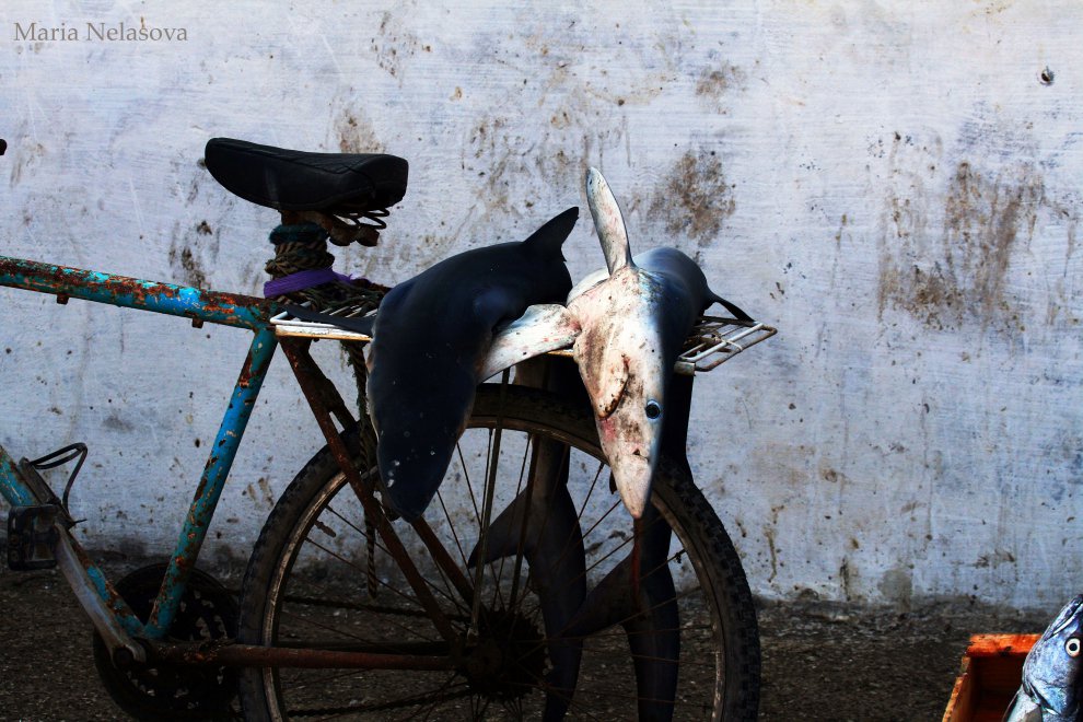 Марокканские будни