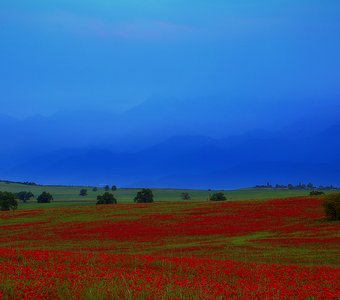 Через полчаса рассвет