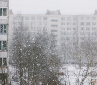 Belarus in the snow