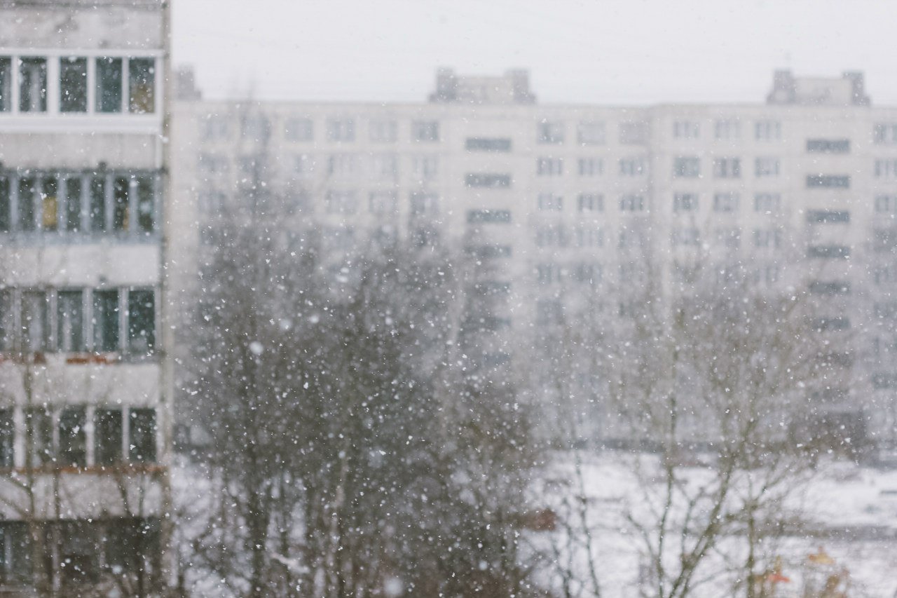 Belarus in the snow
