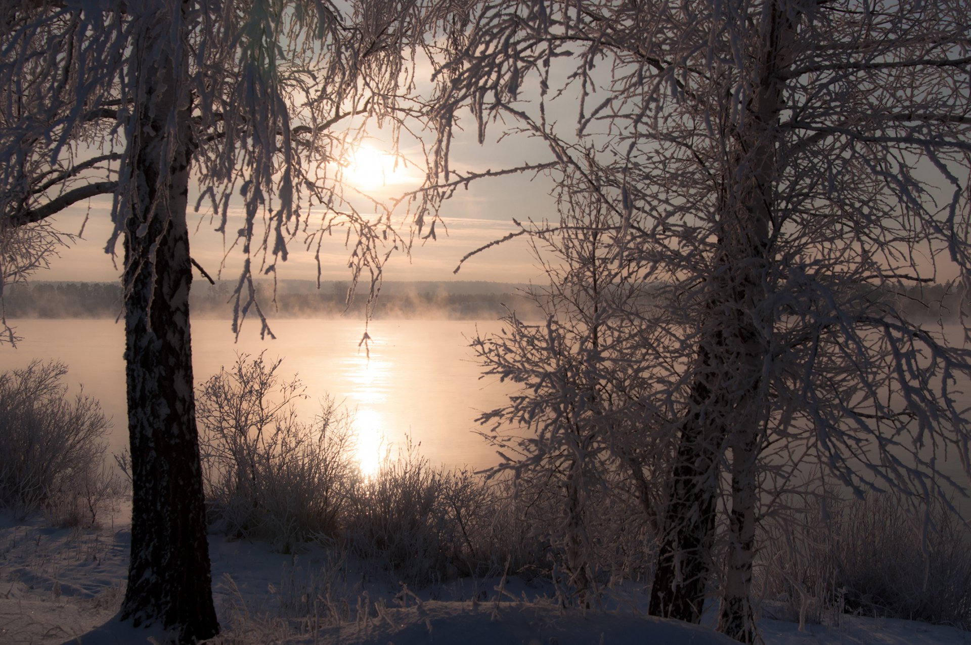 Ворота в сказку