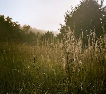 Утро уходящего лета