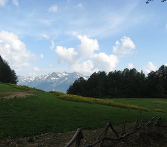Альпийские холмы