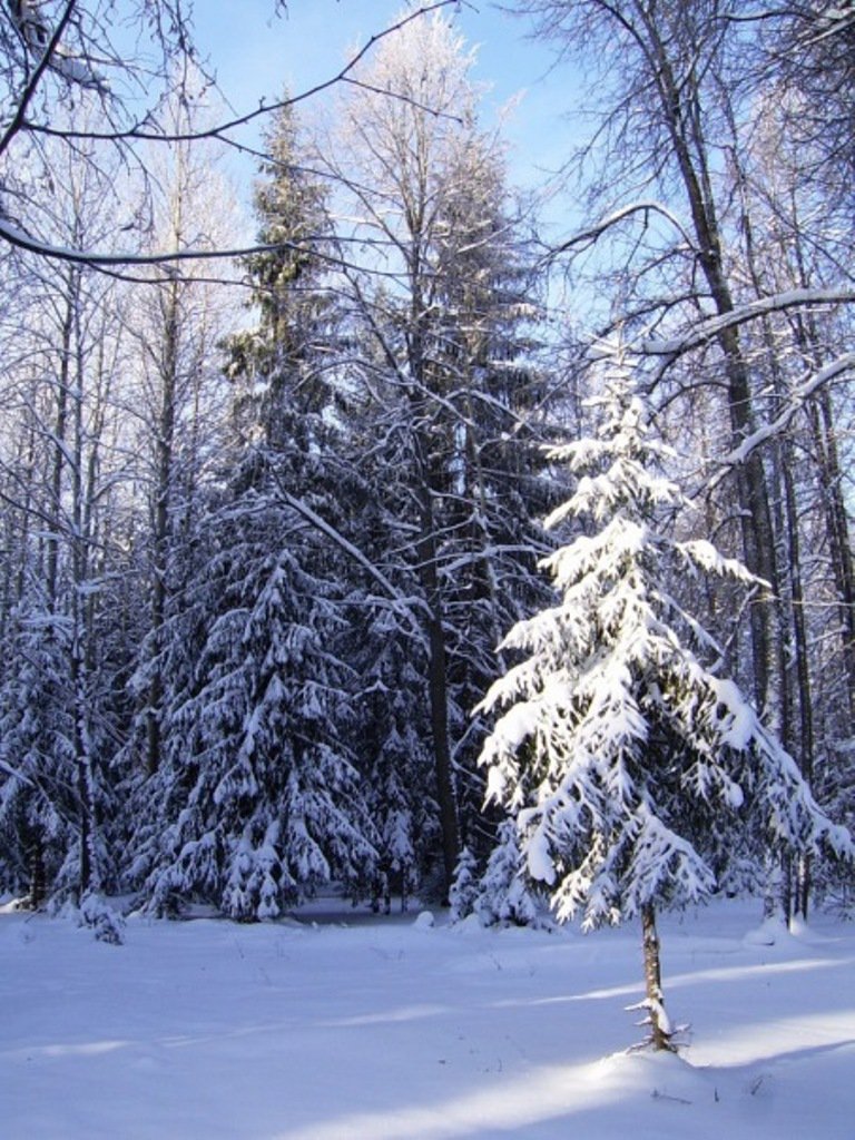 Красота дикой природы...