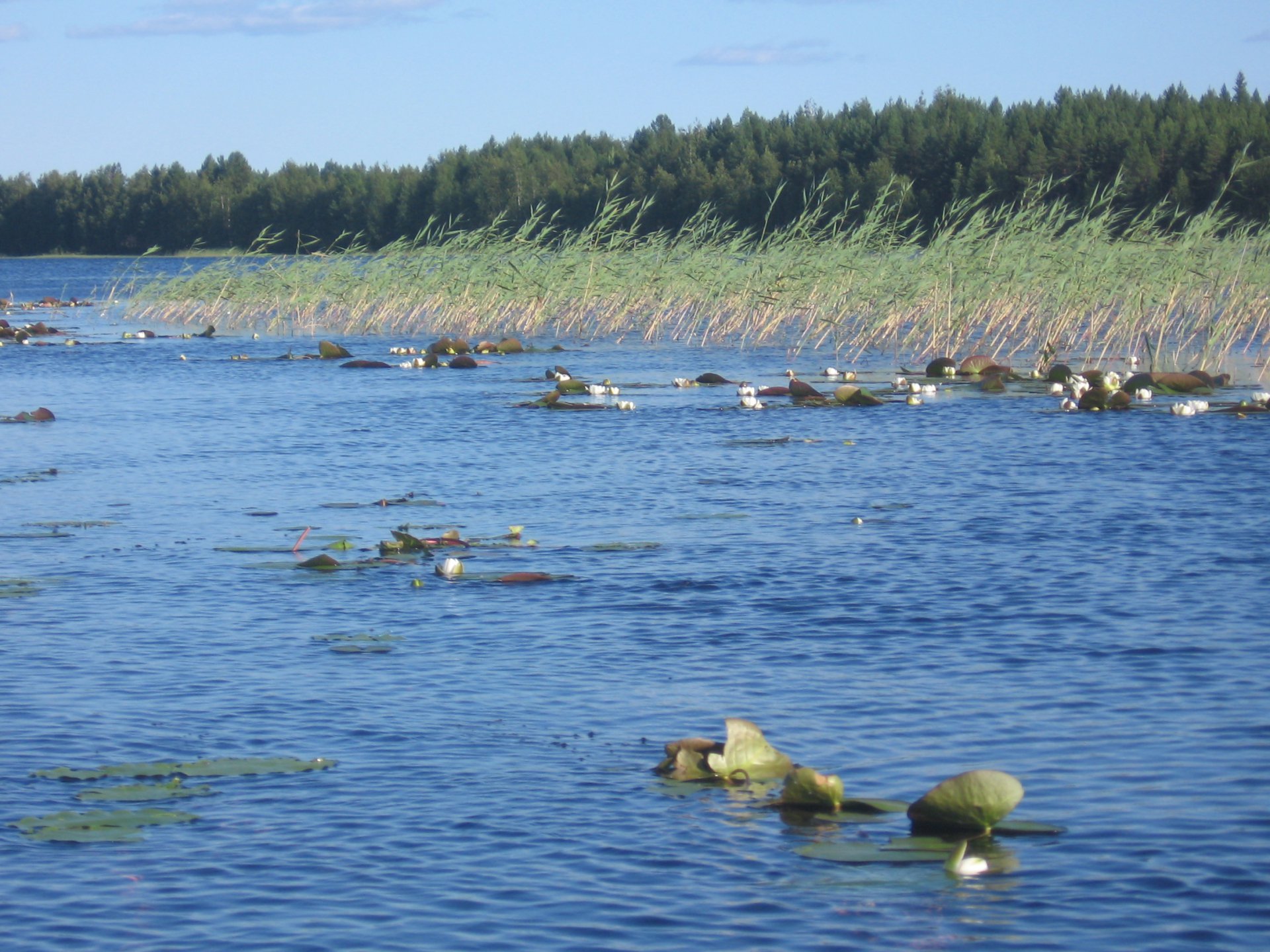 Попутный ветер