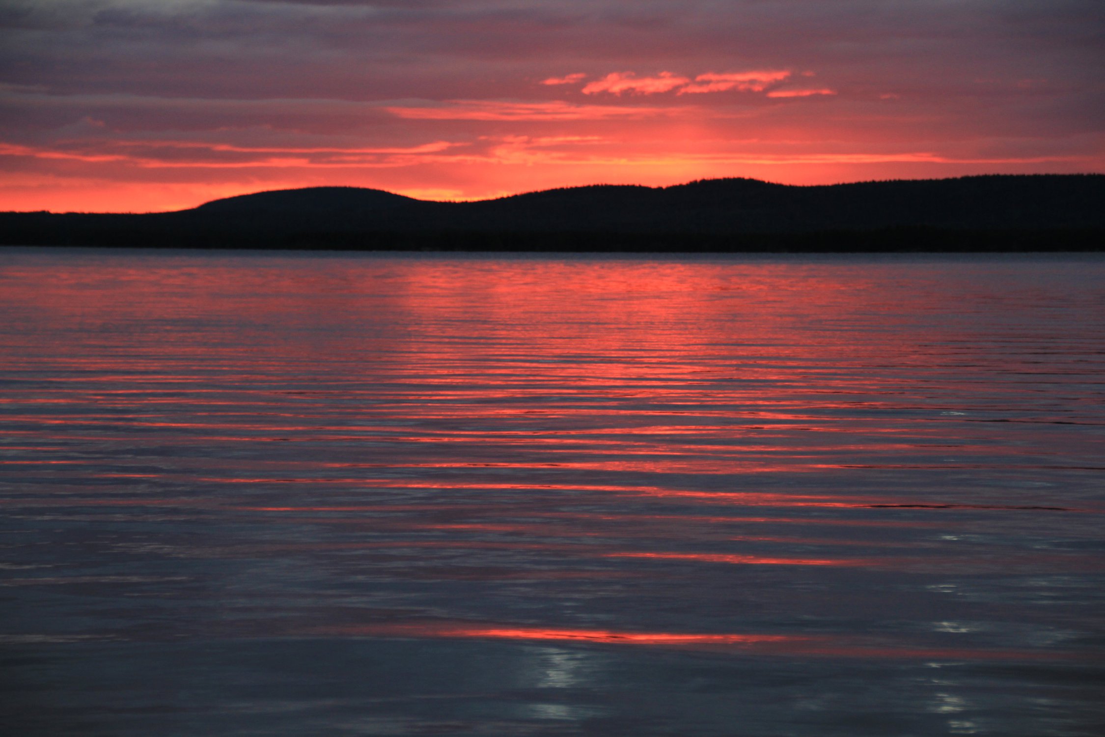 Завтра война