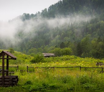 После дождя