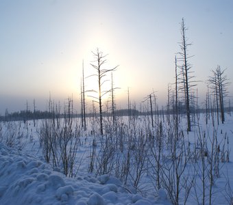 пейзаж 1