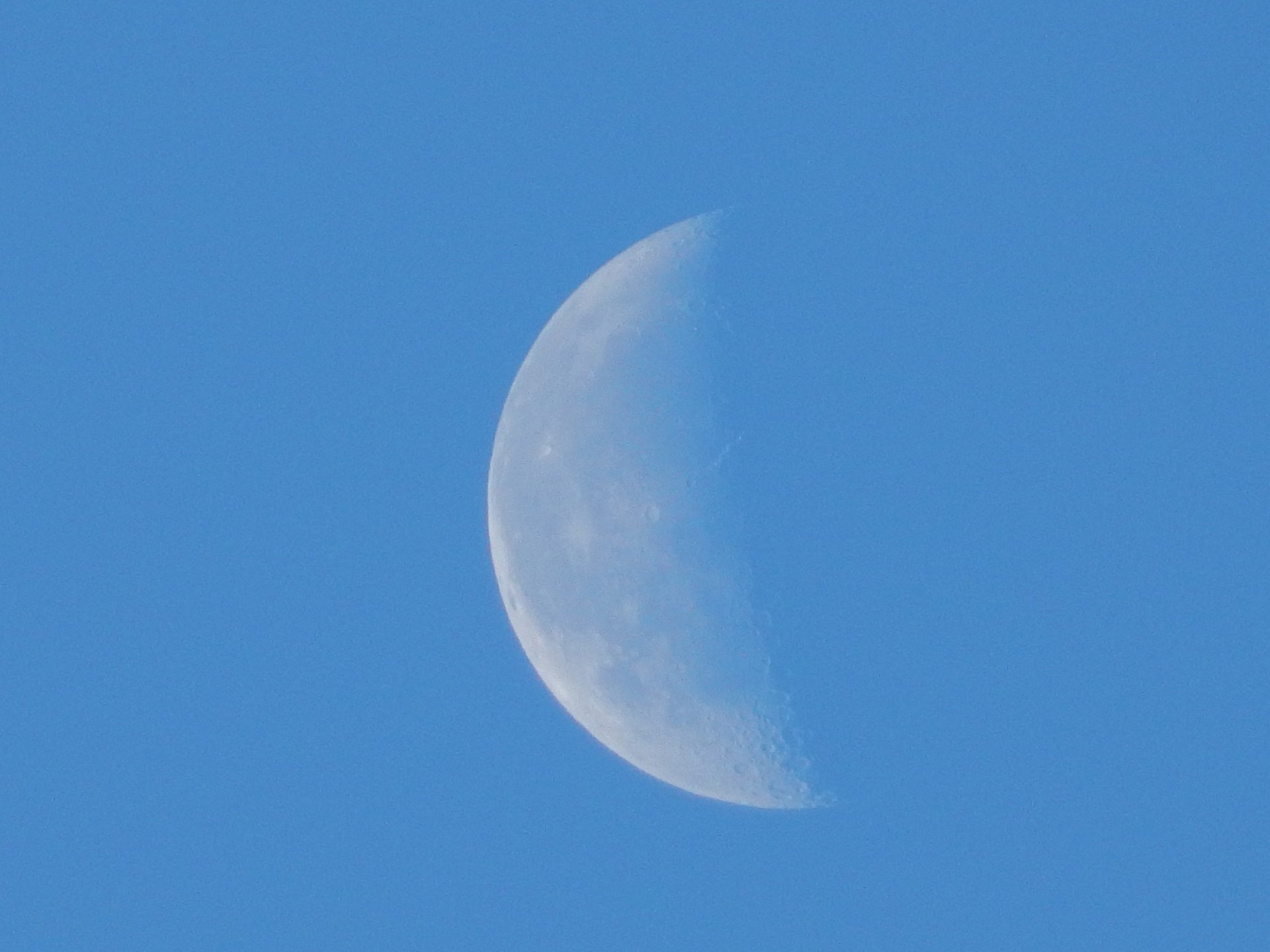 Утренняя луна — Фото №139608