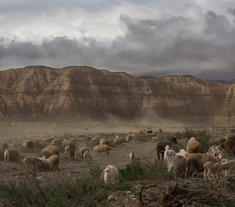 Пылевая буря в Лунном каньоне