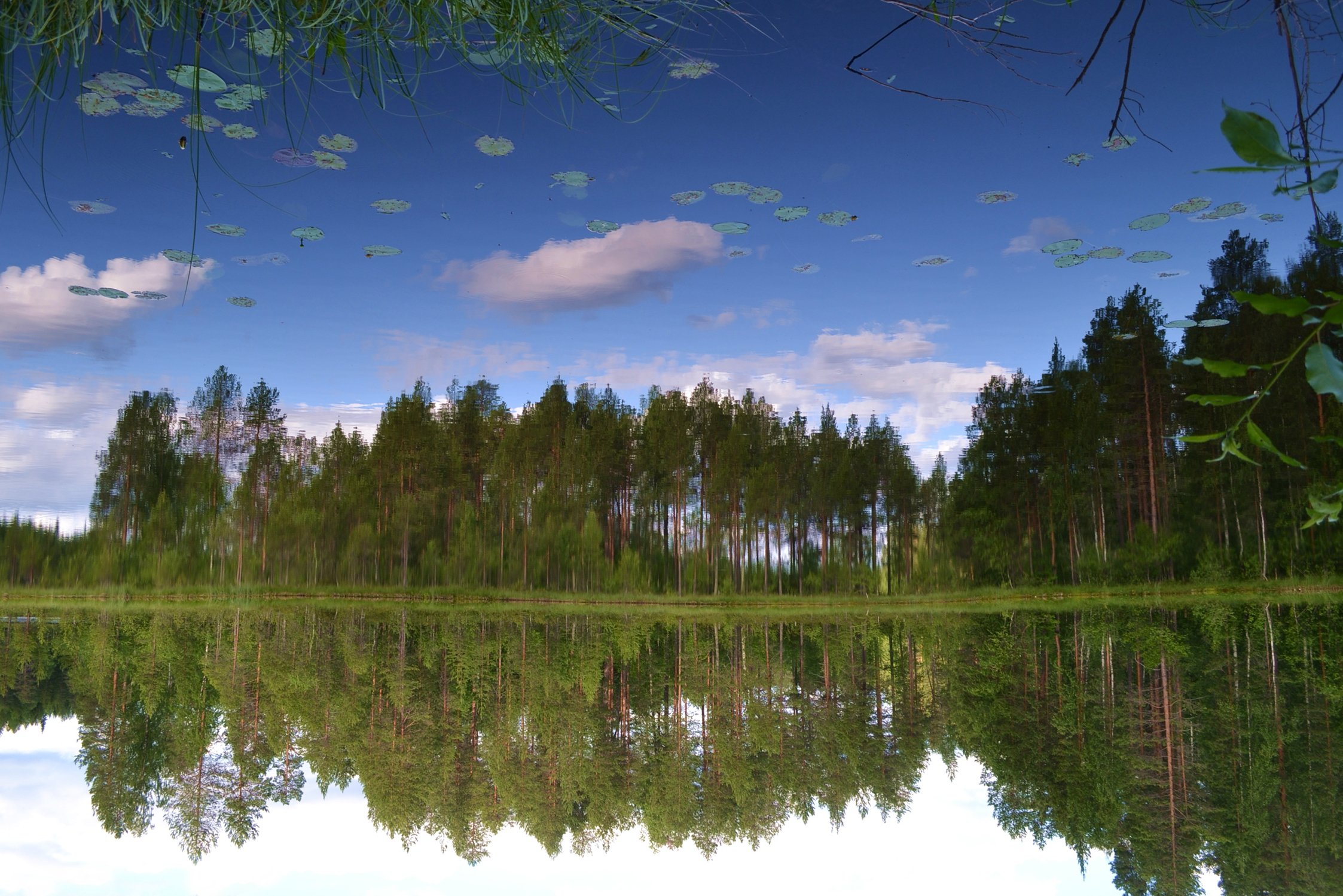 Красота рядом