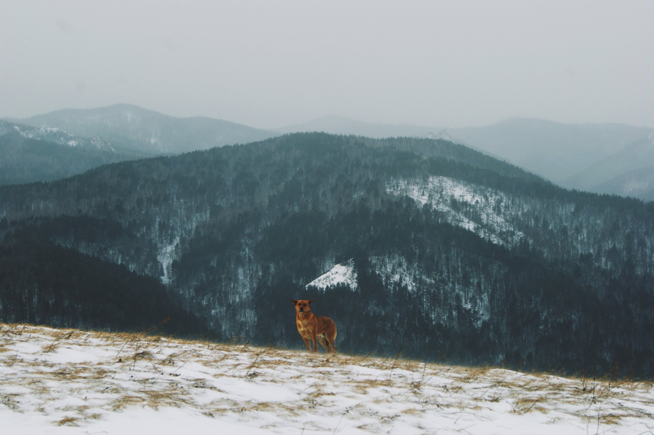 На вершине мира