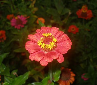 /upload/iblock/d81/d81a0e92ca073d99d8b1ca3aaa9d8919.JPG