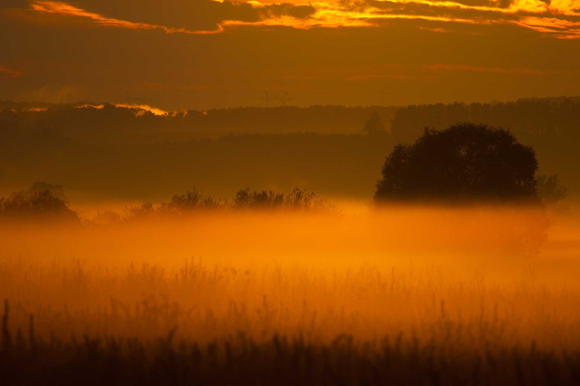 Море тумана