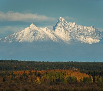 Флагман тайги.