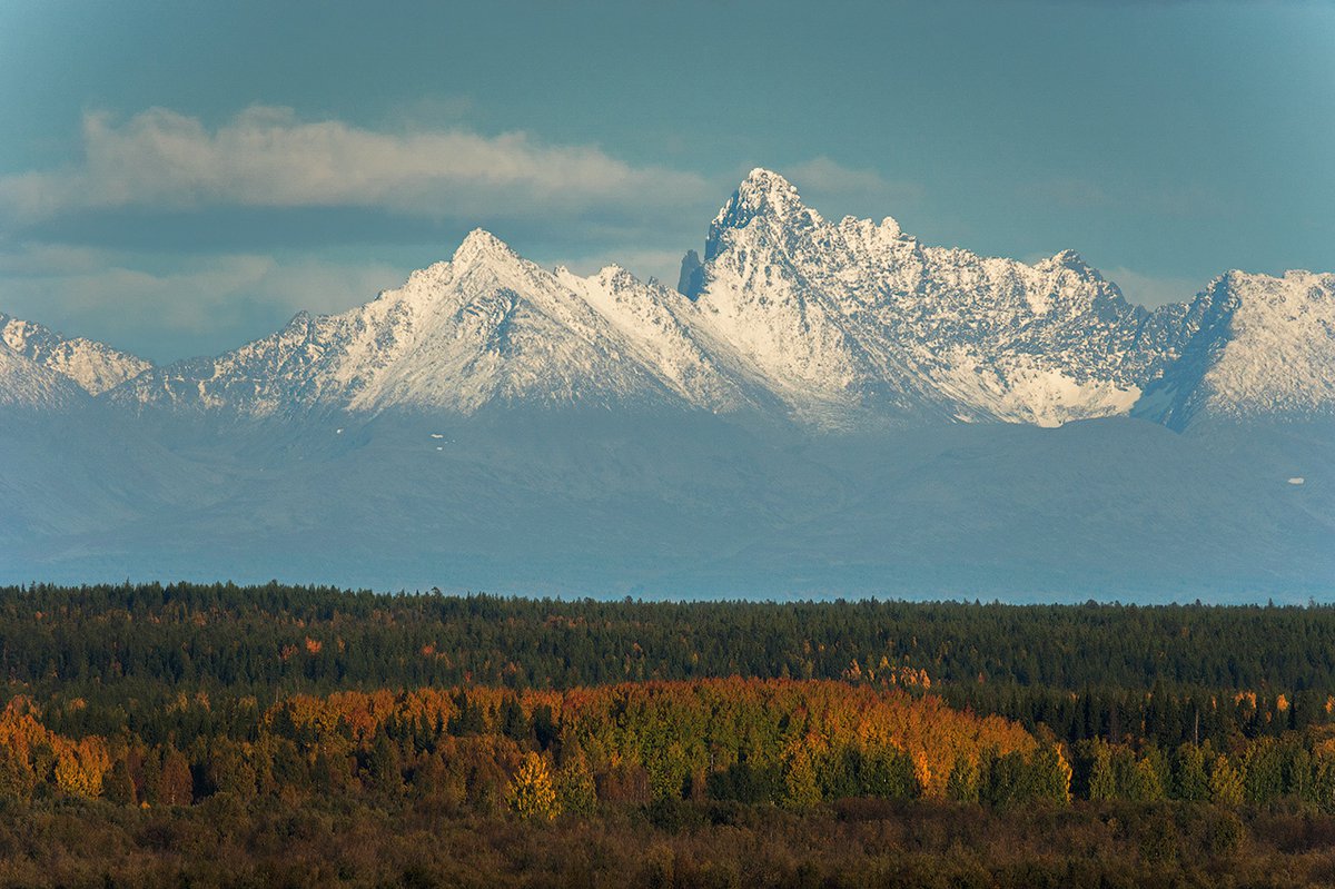 Хребет сабля Урал